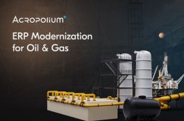 Modernization of ERP software for Oil & Gas company